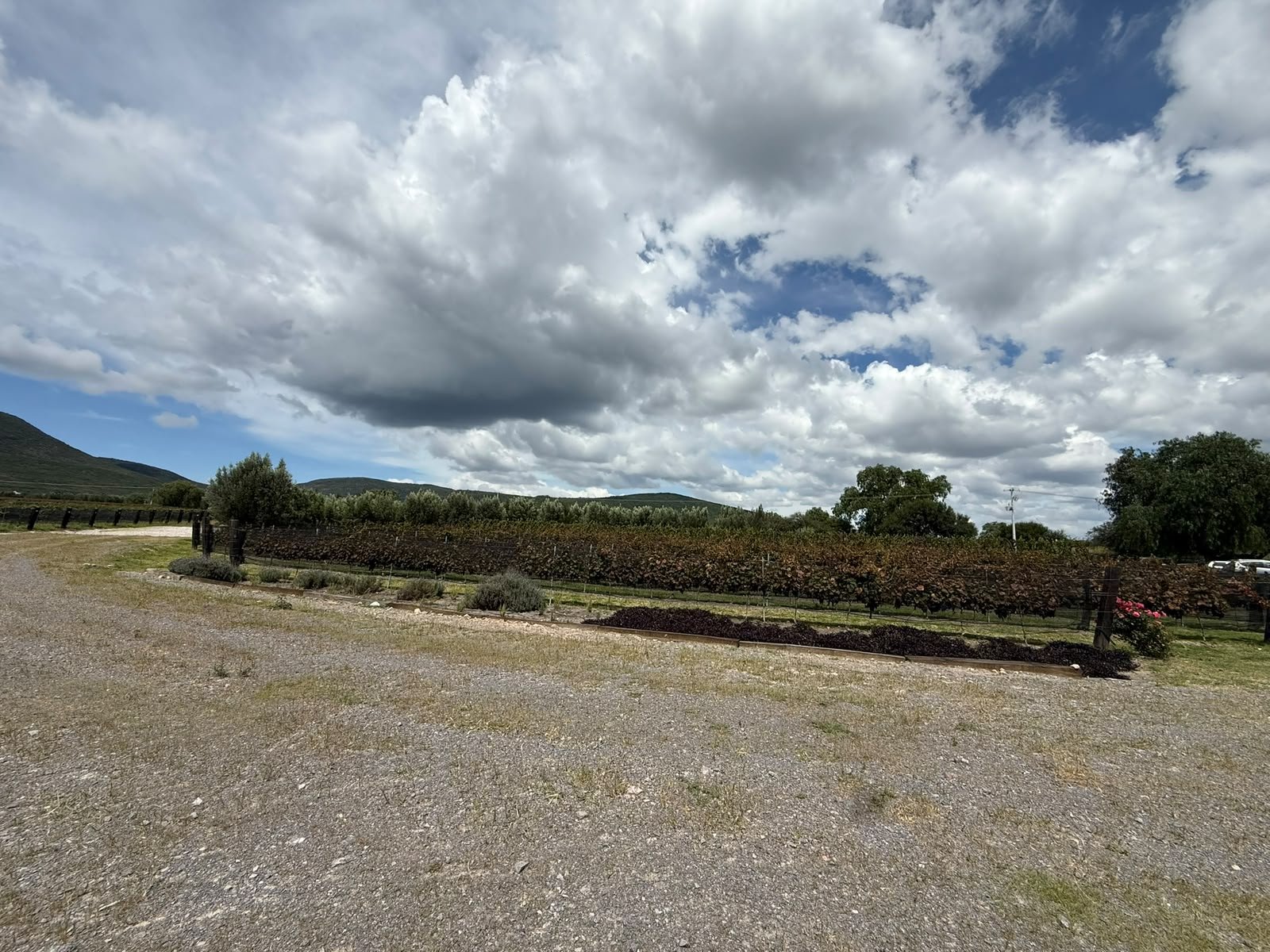 Equinoccio Bernal Querétaro 2027 — venue foto 6